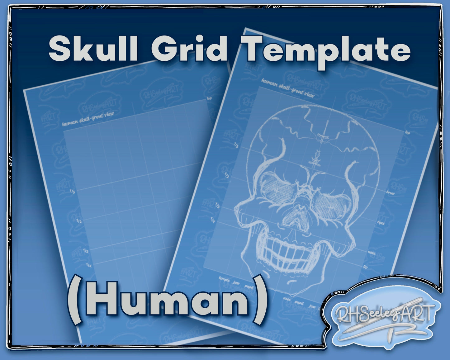 Skull Template (Human)